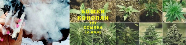 PSILOCYBIN Вязьма