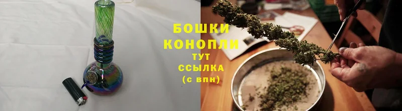 Бошки Шишки семена  Снежинск 